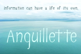Anguillette: A Serif Font for Editorial Excellence