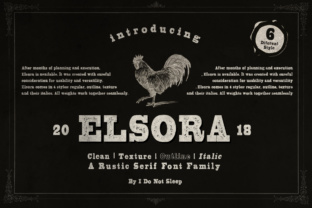 Elsora: A Vintage Font for Business Branding