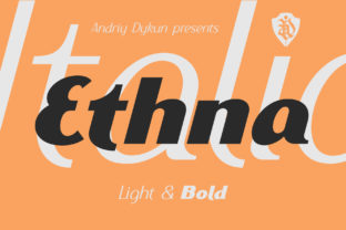 Modern Sans Serif with Vintage Charm