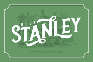 Neue Stanley: A Bold Serif for Branding