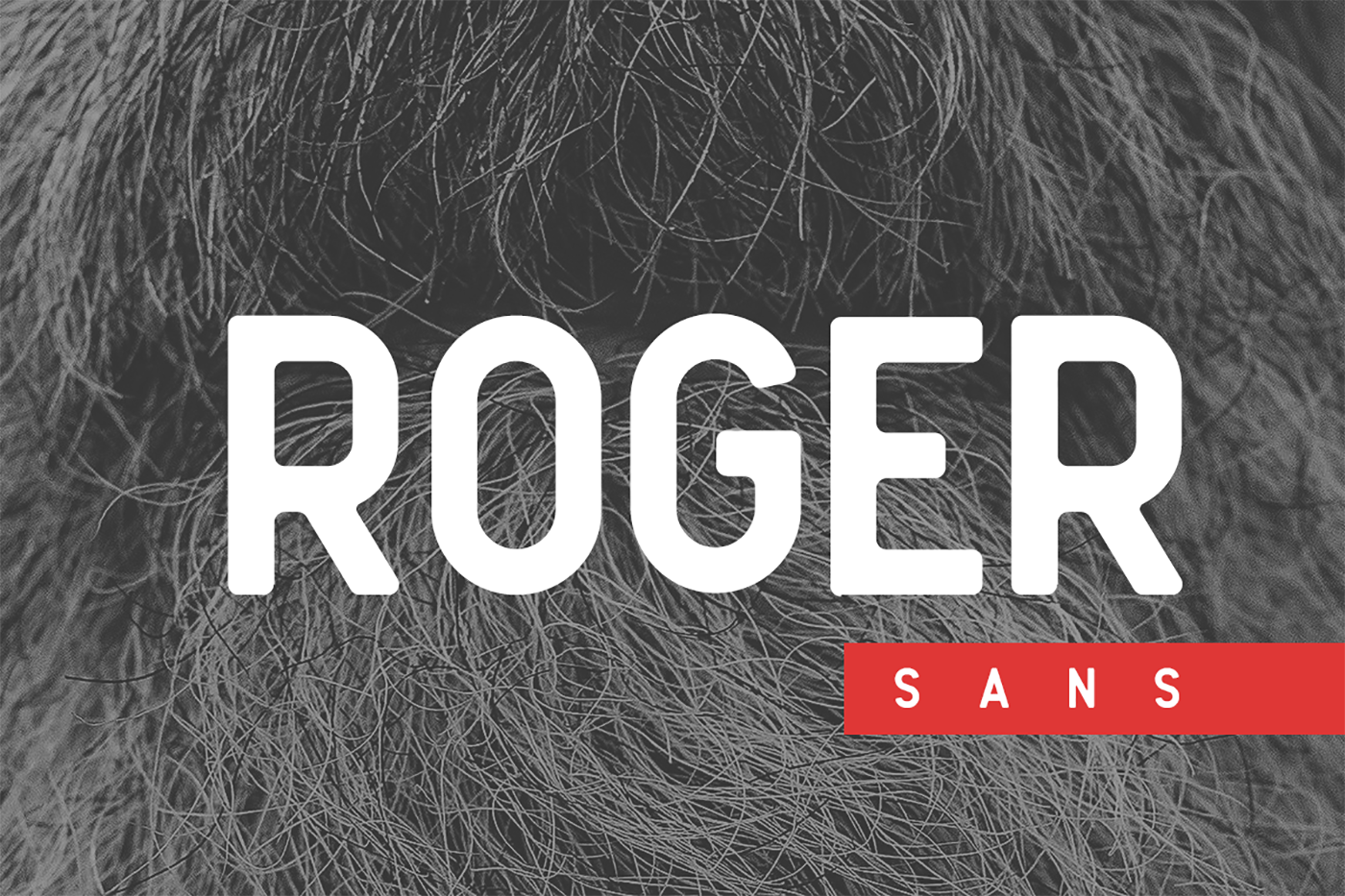 Roger Sans: A Bold Vintage Font