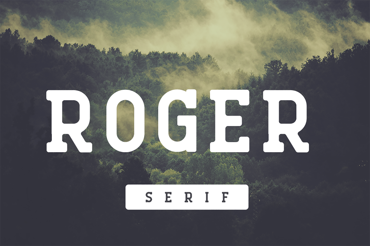 Roger Serif: A Vintage Typeface