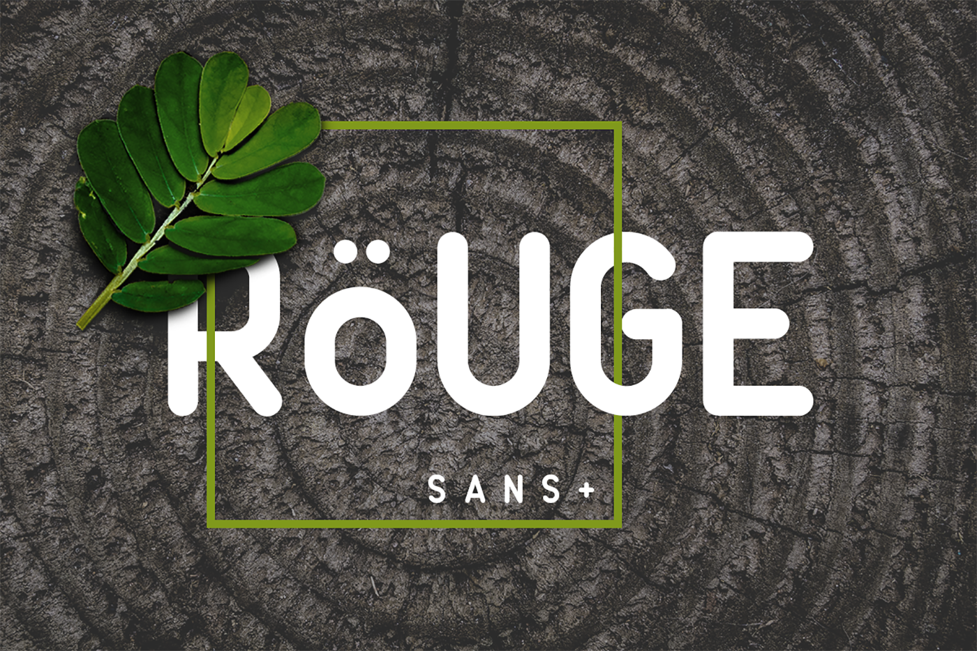 Rouge Sans: A Font for Modern Campaigns